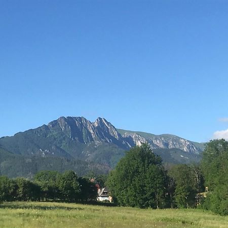 Camping Zakopane Willa Skoczek Oferta Nie Dotyczy Noclegu W Pokoju ,W Namiocie Reczniki Woda Mineralna , Koldra Poduszki Lub Spiwory Ngoại thất bức ảnh
