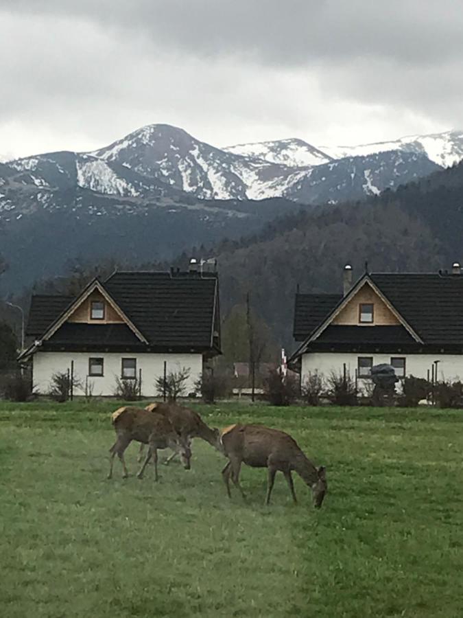 Camping Zakopane Willa Skoczek Oferta Nie Dotyczy Noclegu W Pokoju ,W Namiocie Reczniki Woda Mineralna , Koldra Poduszki Lub Spiwory Ngoại thất bức ảnh