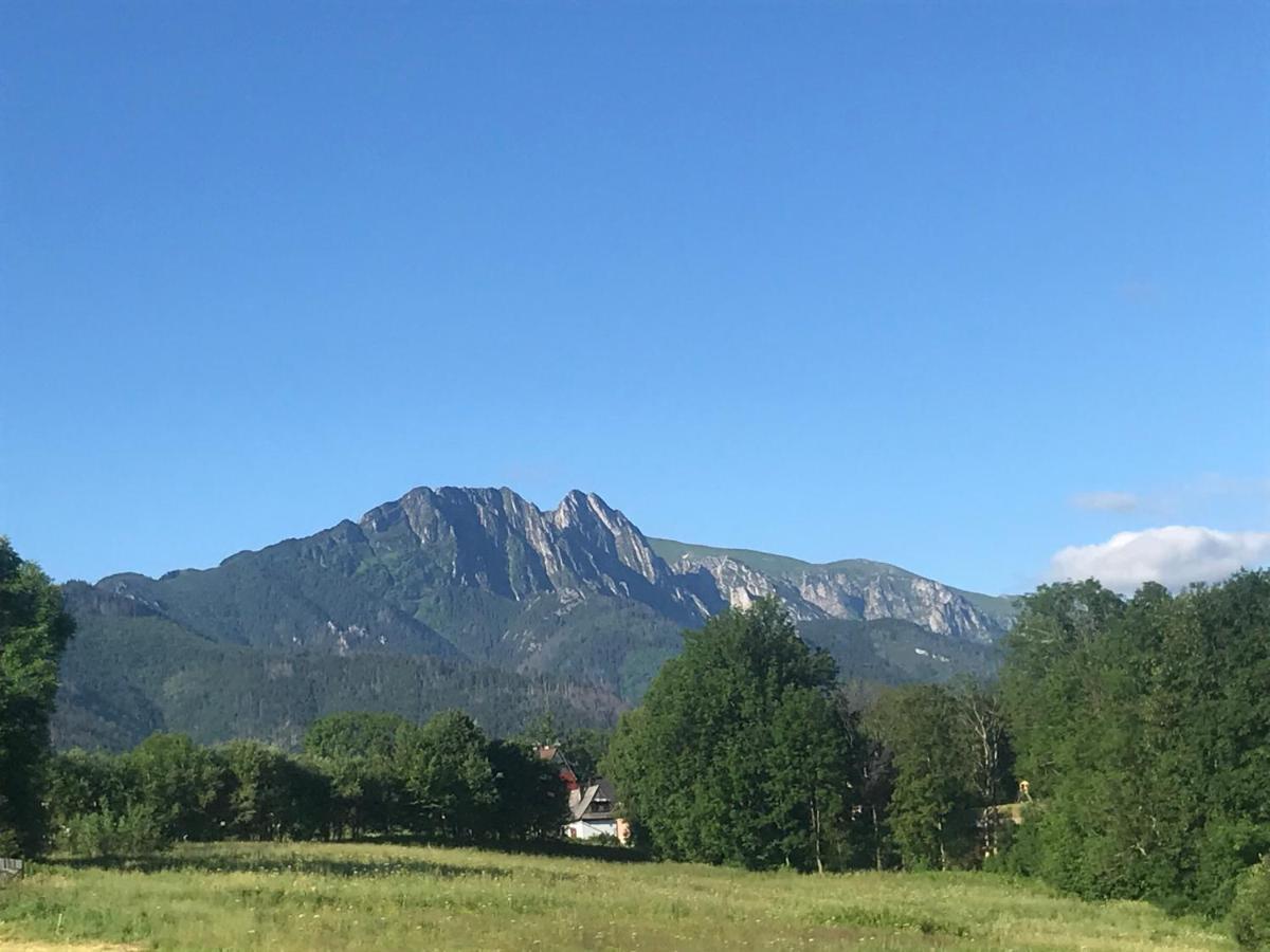 Camping Zakopane Willa Skoczek Oferta Nie Dotyczy Noclegu W Pokoju ,W Namiocie Reczniki Woda Mineralna , Koldra Poduszki Lub Spiwory Ngoại thất bức ảnh